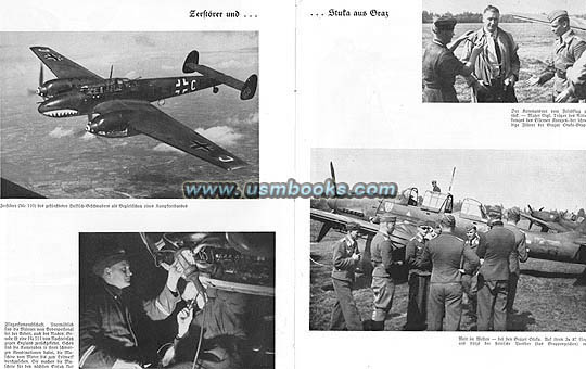 Nazi German air force pilots