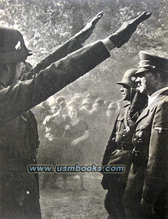 Heil Hitler, Hitler salute