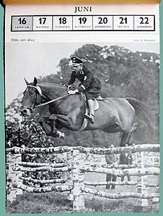 Nazi horse riders