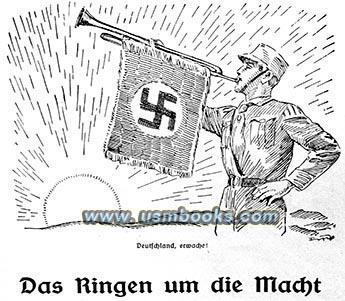 Fips illustration Nazi swastika banner