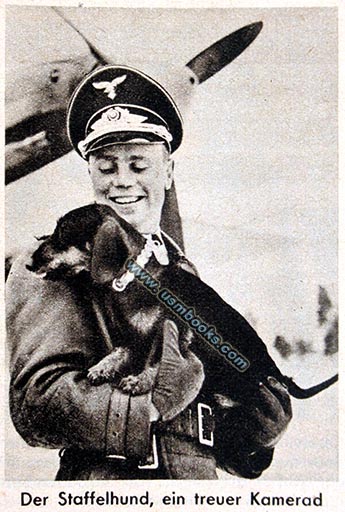 Luftwaffe squadron mascot dog