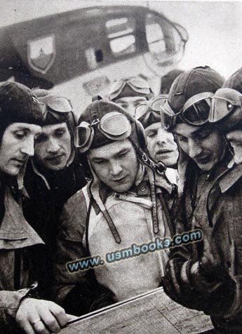 Luftwaffe pilots
