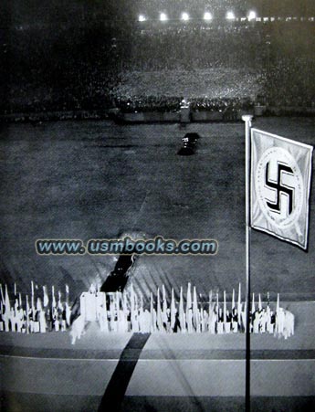 Nazi swastika banner