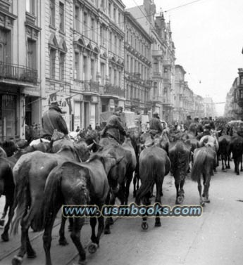 Nazi Cavalry in Poland 1939