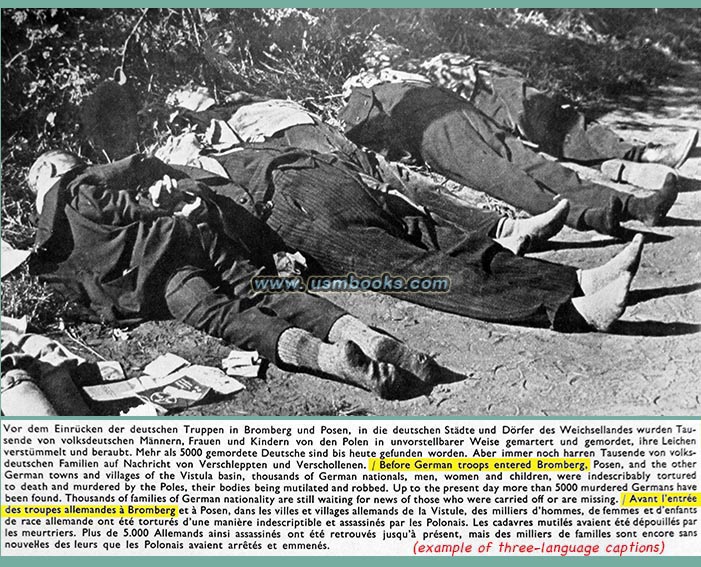 murdered ethnic Germans in Poland in Bromberg, Posen