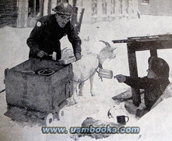 goat cart feeding British soldier in 1944