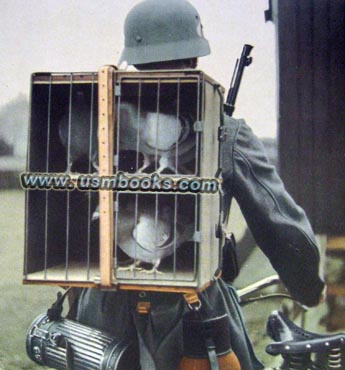 Wehrmacht pigeons