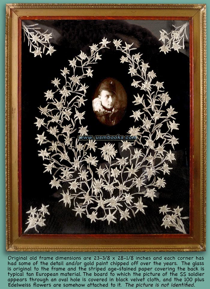 Waffen-SS mountain trooper framed picture with dried Edelweiss
