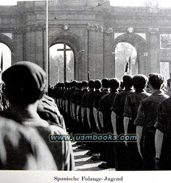 Fascist Spanish youth, Falange