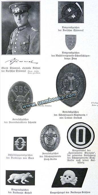 Totenkopf Kragenspiegel