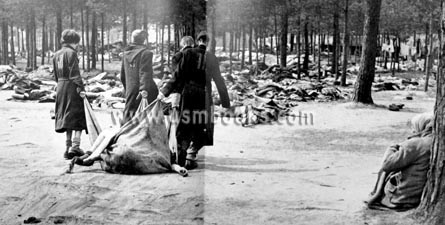 Concentration camp victims