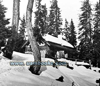 alpine forest hut
