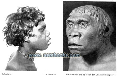 Nazi book on the evolution of mankind