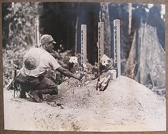 Japanese soldier graves
