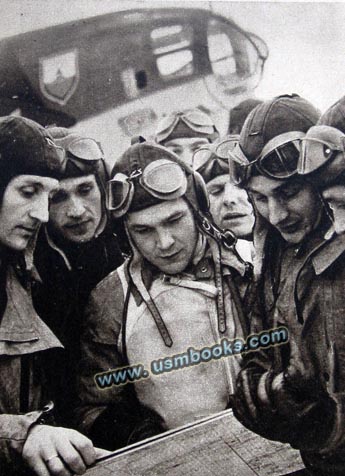 Luftwaffe pilots