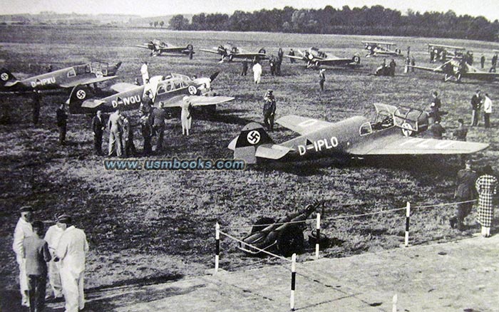 NSFK airplanes with swastika markings on the tail