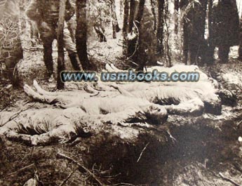 murdered ethnic Germans