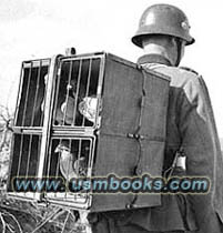Wehrmacht carrier pigeons 1940