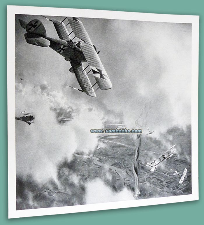 WWI Fokker biplanes above France