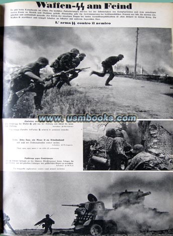 Waffen-SS in action