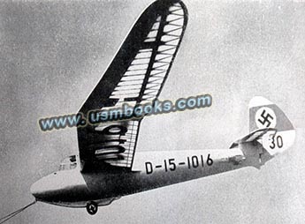 Minimoa glider, Segelflugzeug Minimoa with swastika tail markings